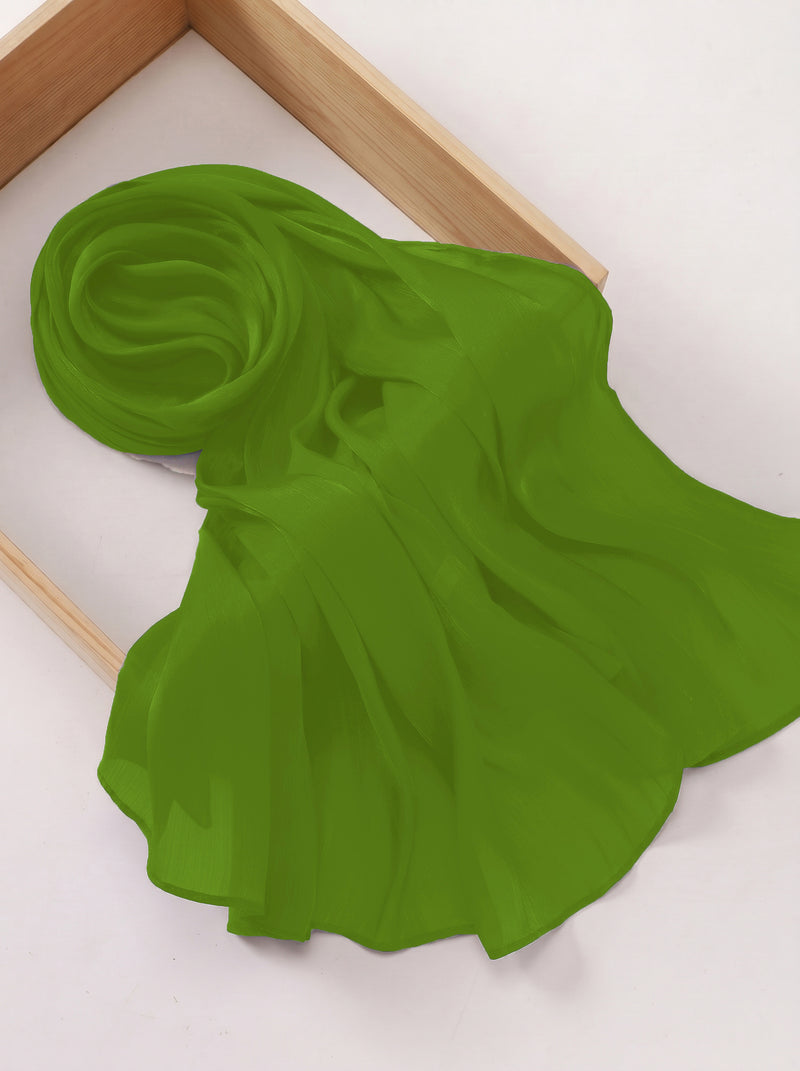 Imported Net Dupatta-Light Green
